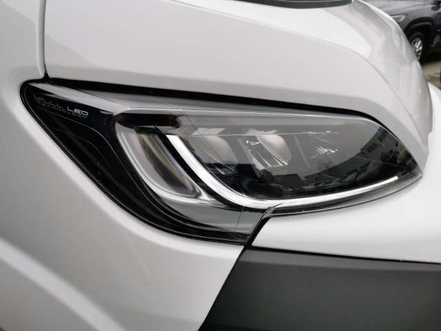 Fahrzeugbild eines Opel Movano