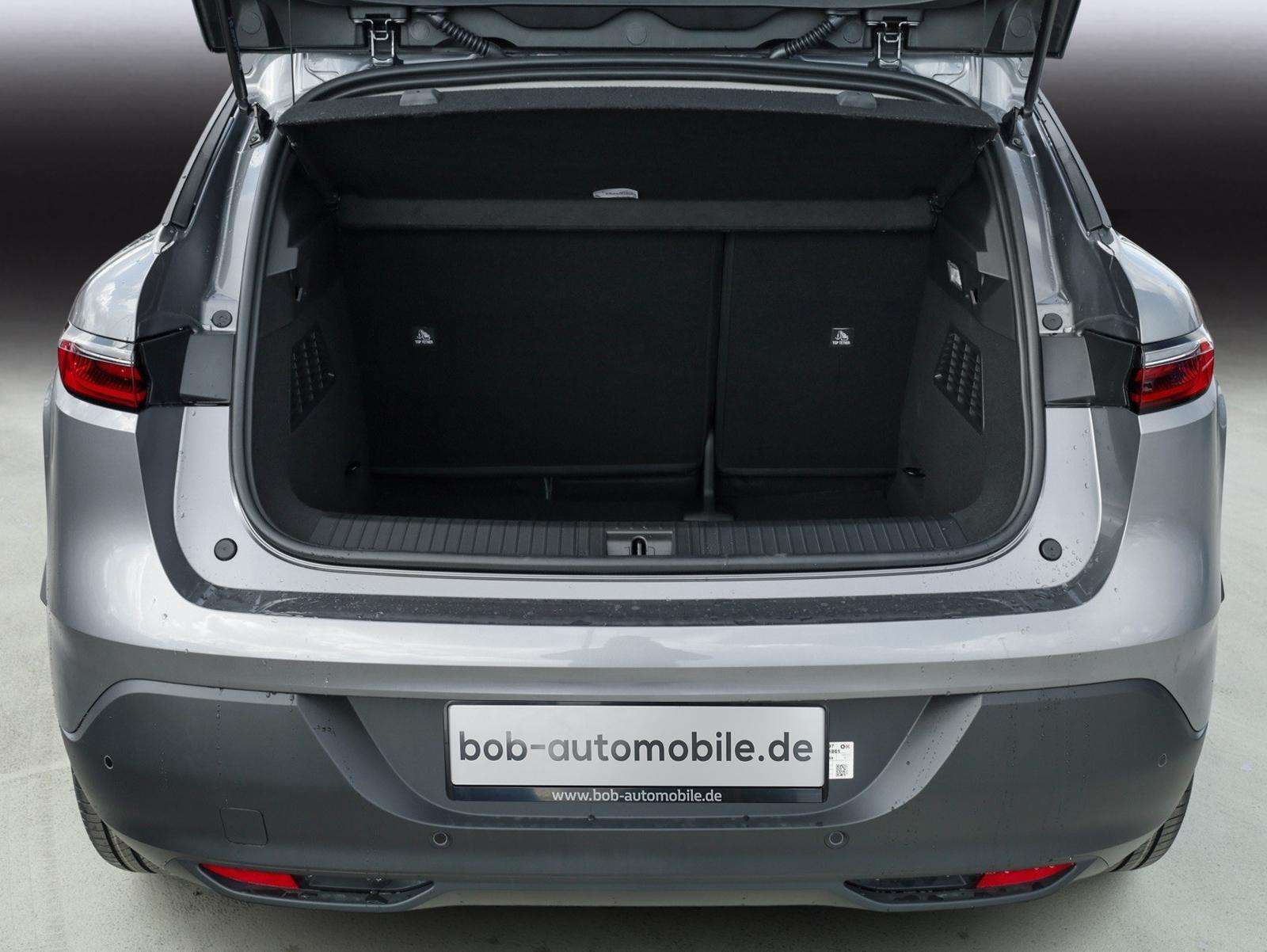 Fahrzeugbild eines Renault Megane E-TECH