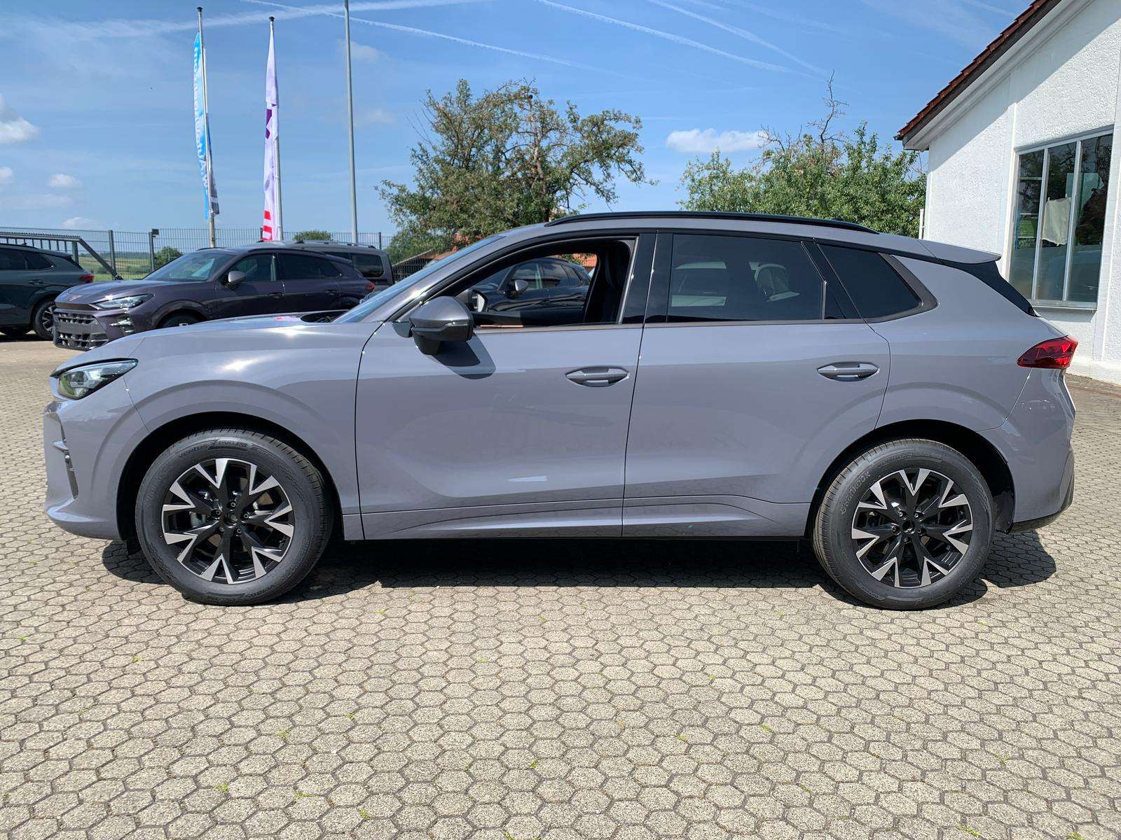 Fahrzeugbild eines CUPRA Terramar