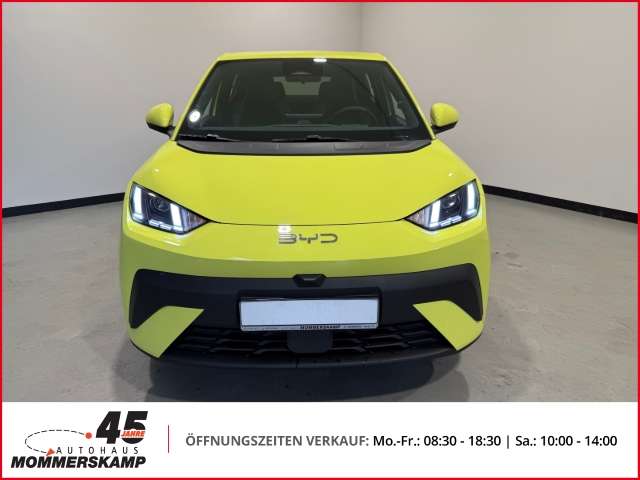 Fahrzeugbild eines BYD DOLPHIN