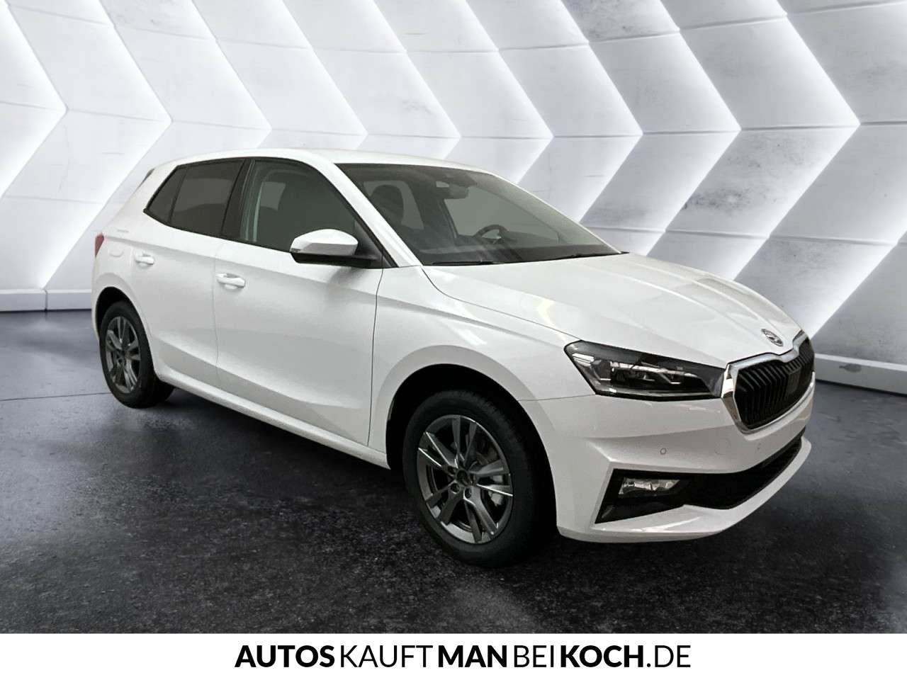 Fahrzeugbild eines Skoda Fabia