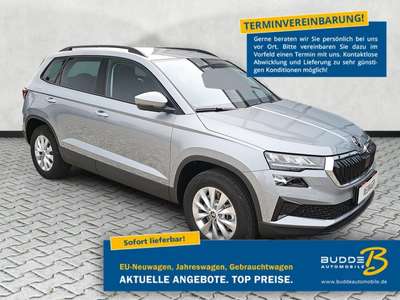 Bild Skoda Karoq