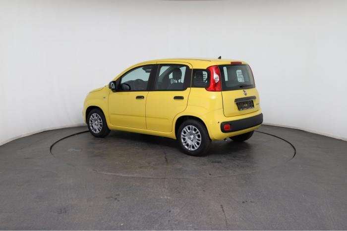 Fahrzeugbild eines Fiat Panda