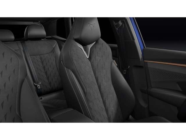 Fahrzeugbild eines CUPRA Terramar