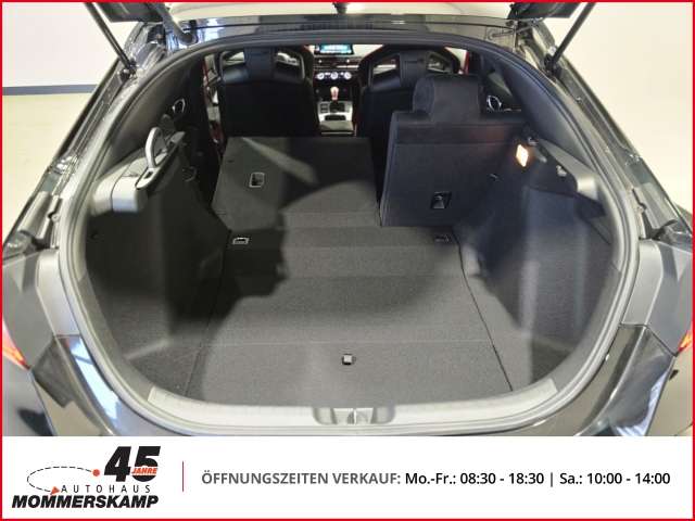 Fahrzeugbild eines Honda Civic