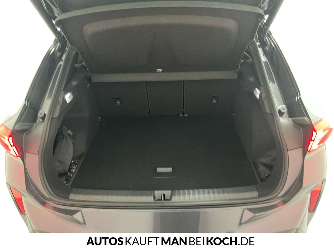 Fahrzeugbild eines CUPRA Terramar