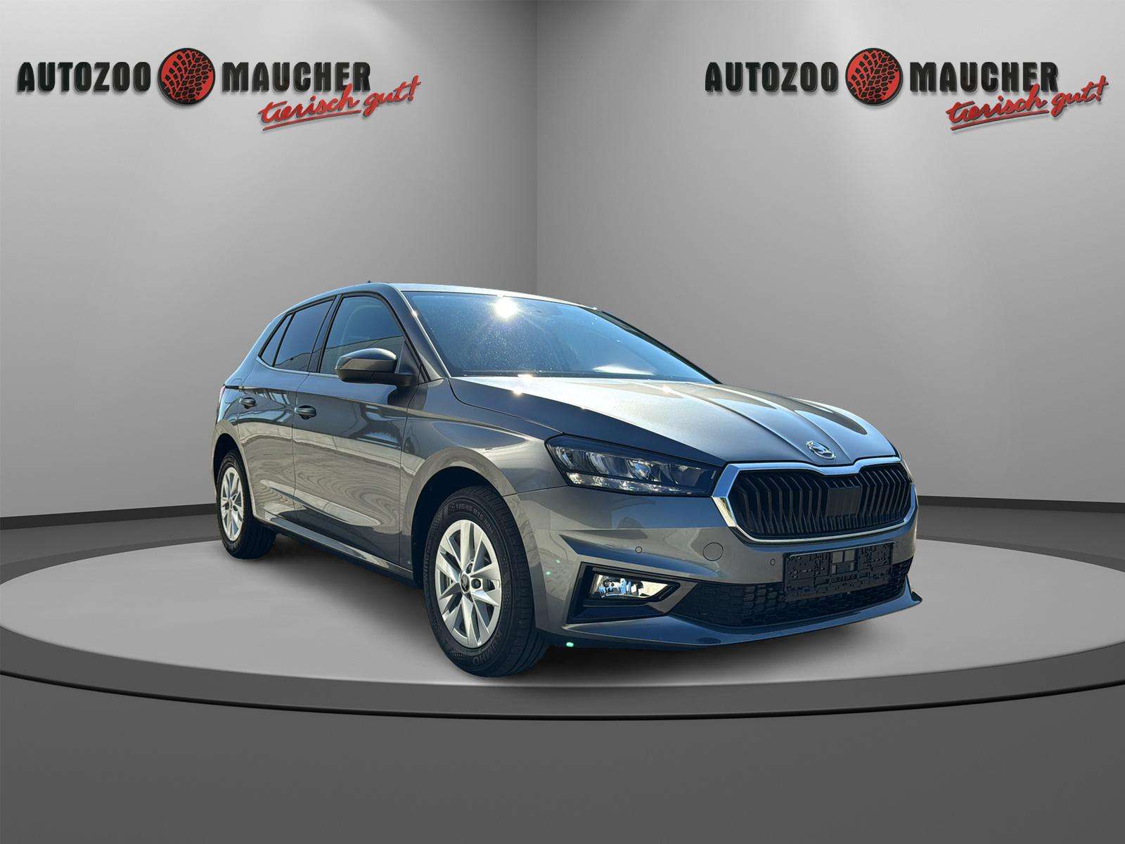 Fahrzeugbild eines Skoda Fabia