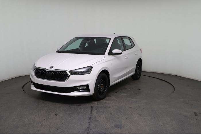 Fahrzeugbild eines Skoda Fabia