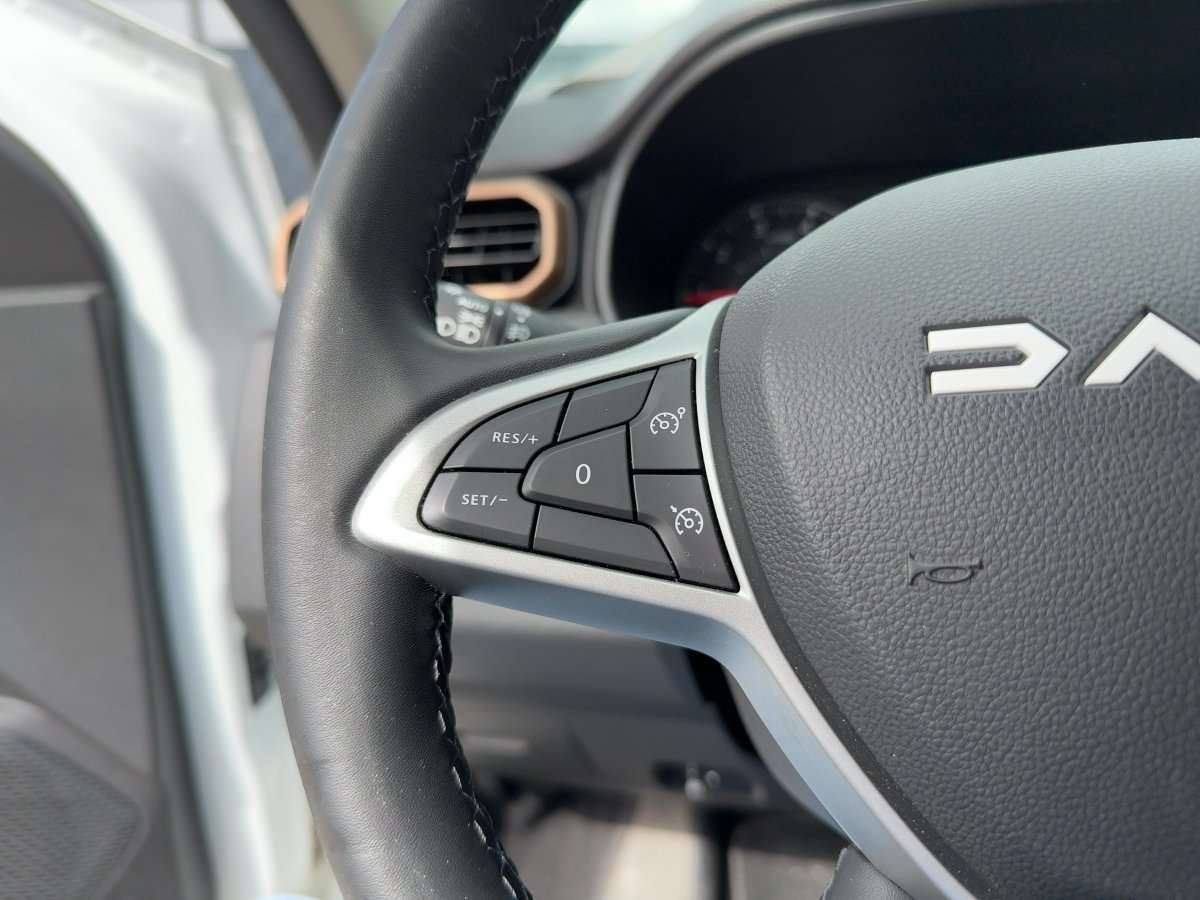 Fahrzeugbild eines Dacia Duster