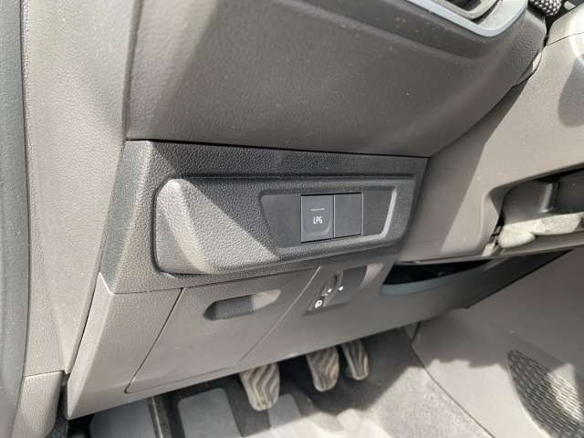 Fahrzeugbild eines Dacia Sandero