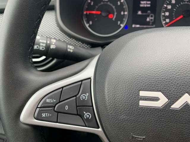 Fahrzeugbild eines Dacia Sandero