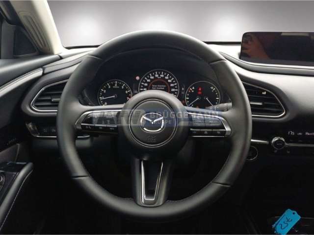 Fahrzeugbild eines Mazda CX-30