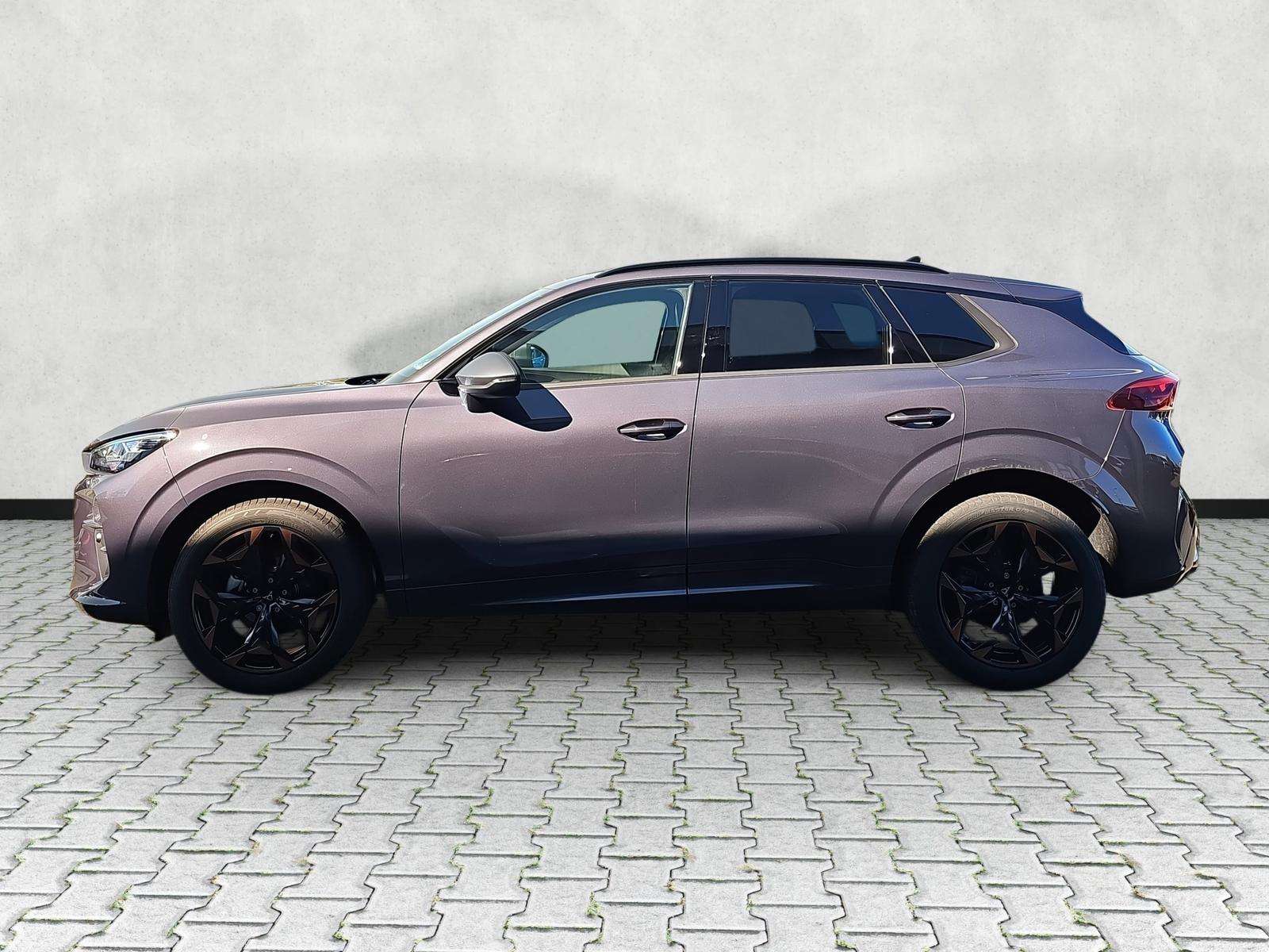 Fahrzeugbild eines CUPRA Terramar