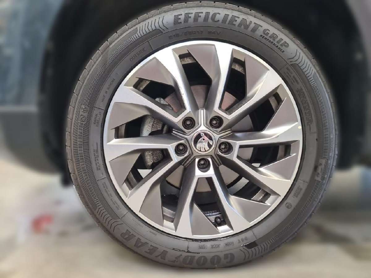 Fahrzeugbild eines Skoda Karoq