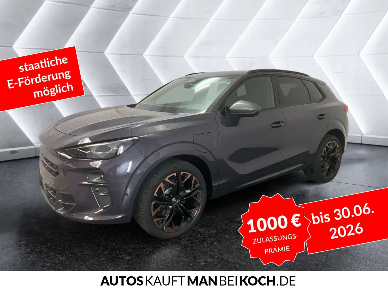 Fahrzeugbild eines CUPRA Terramar