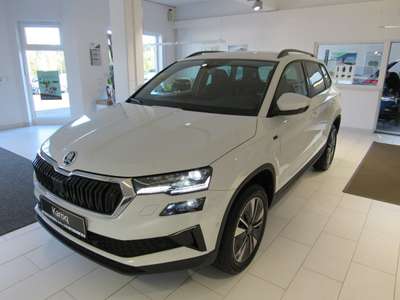 Bild Skoda Karoq