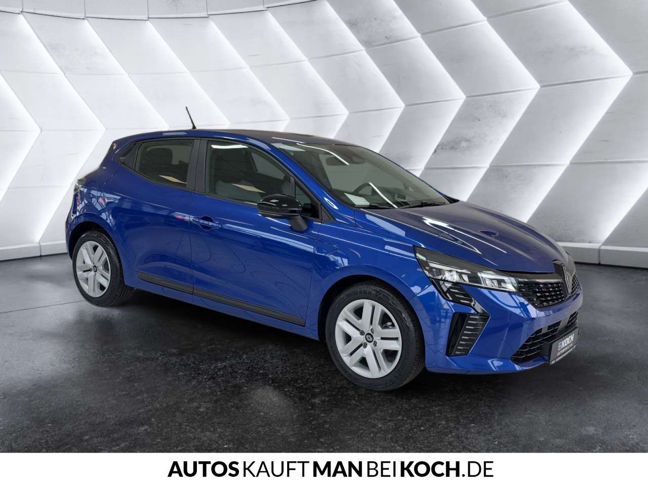 Fahrzeugbild eines Renault Clio