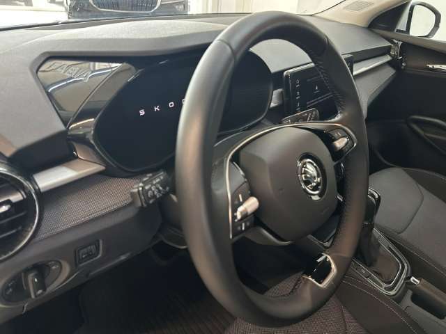 Fahrzeugbild eines Skoda Fabia