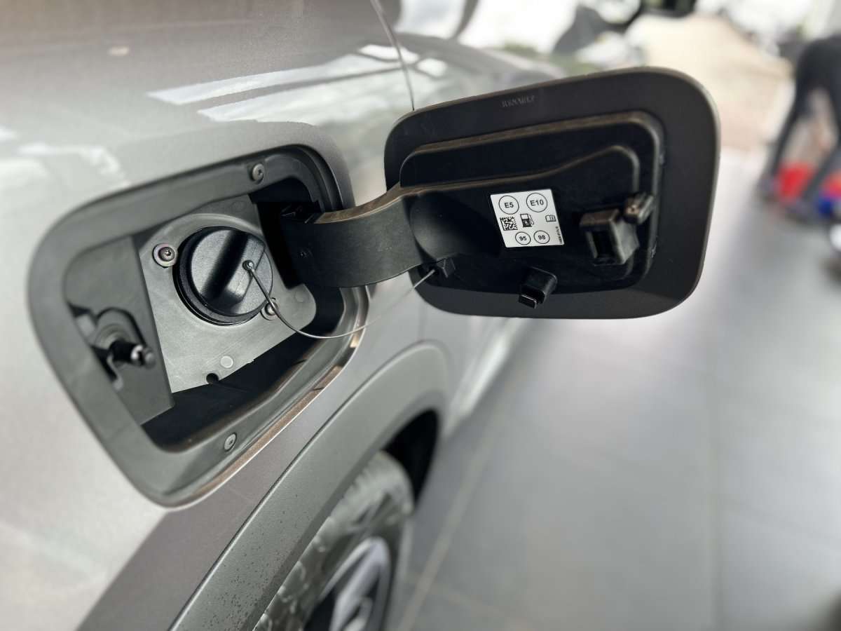 Fahrzeugbild eines Renault Symbioz