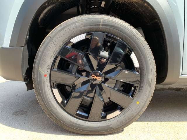 Fahrzeugbild eines Dacia Spring