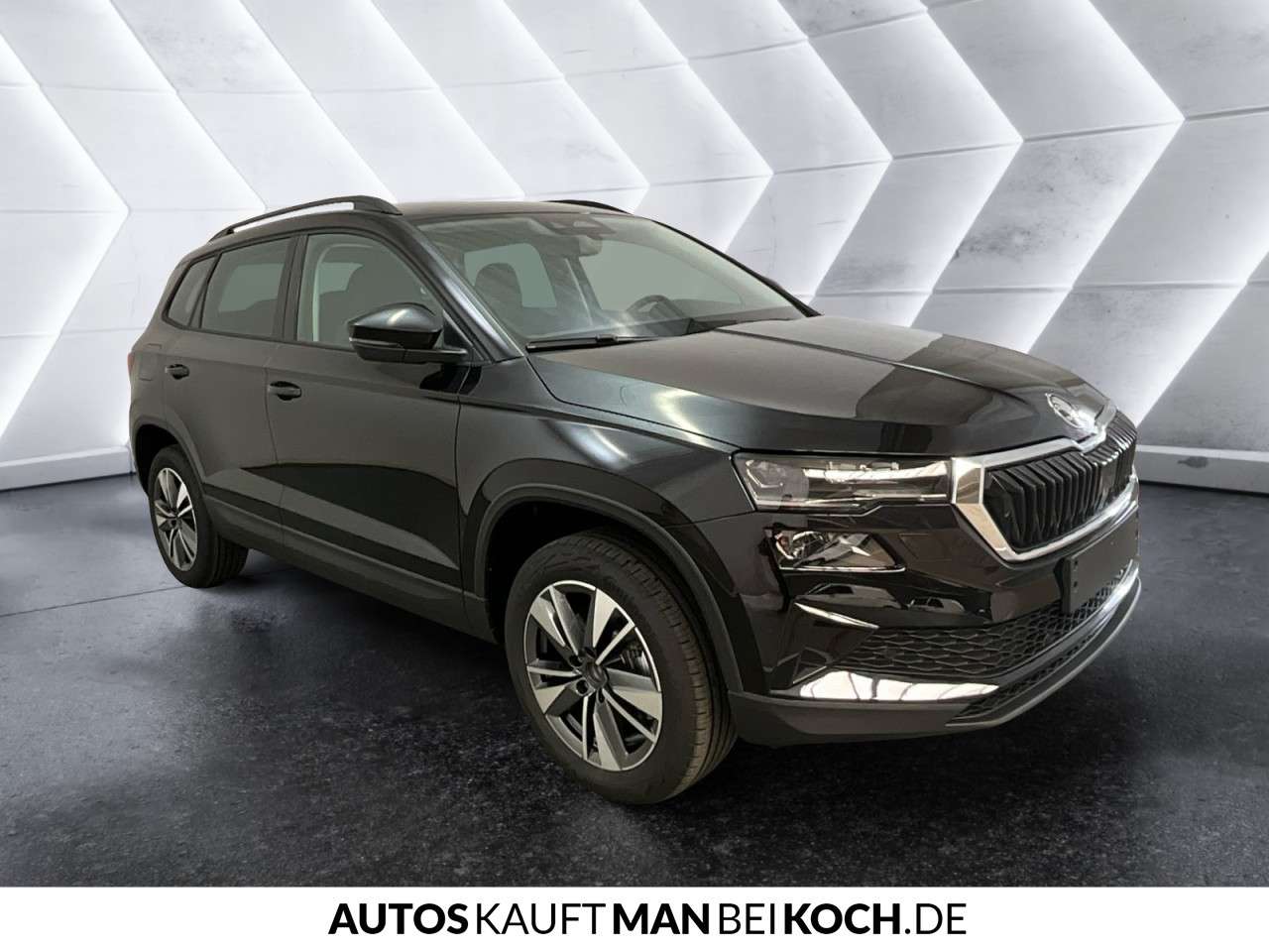 Fahrzeugbild eines Skoda Karoq