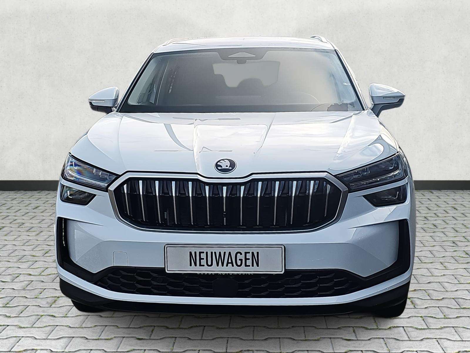 Fahrzeugbild eines Skoda Kodiaq