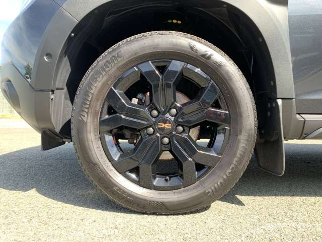Fahrzeugbild eines Dacia Duster