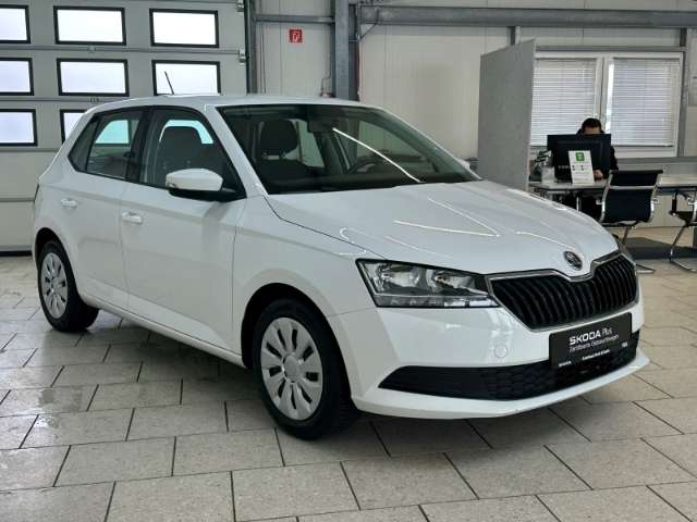 Fahrzeugbild eines Skoda Fabia