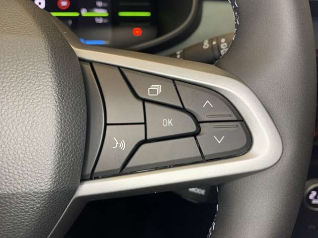 Fahrzeugbild eines Dacia Jogger