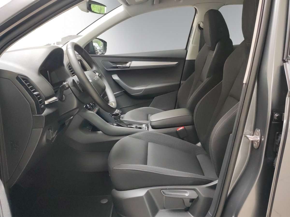 Fahrzeugbild eines Skoda Karoq