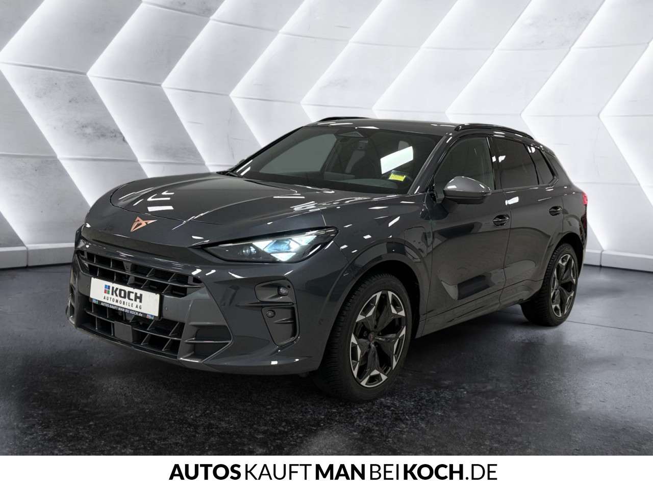 Fahrzeugbild eines CUPRA Terramar
