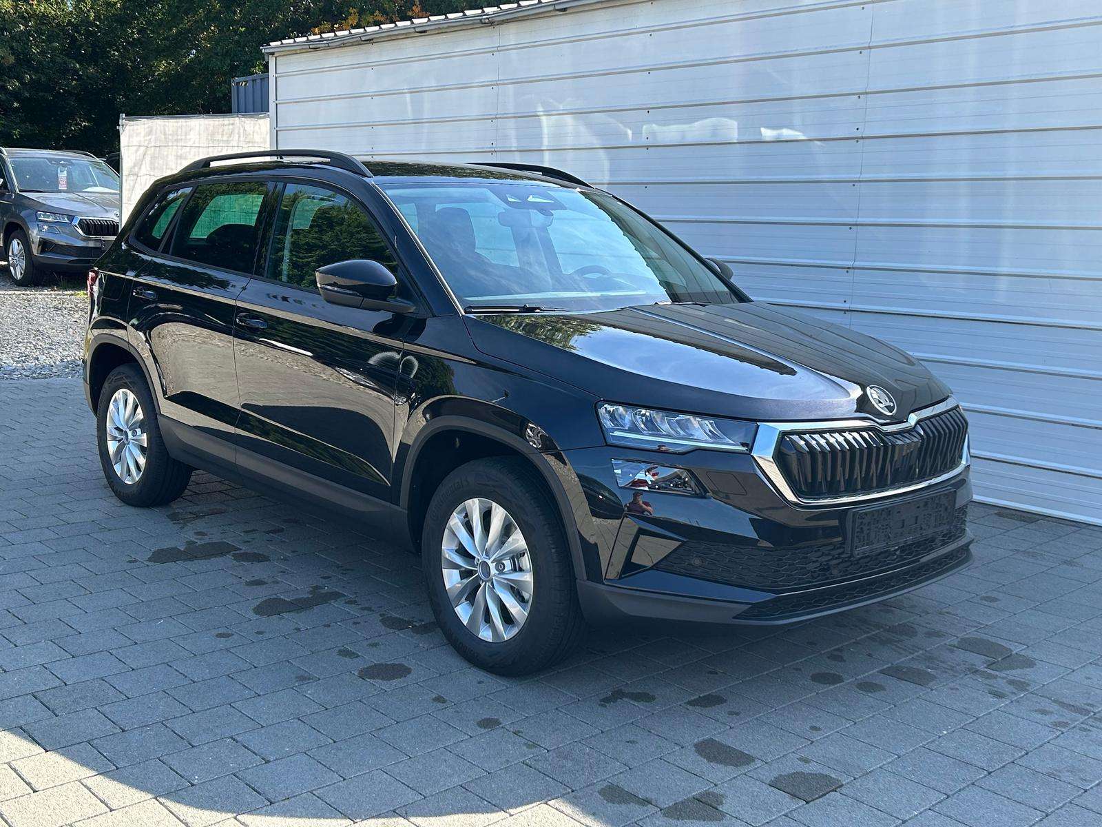 Fahrzeugbild eines Skoda Karoq