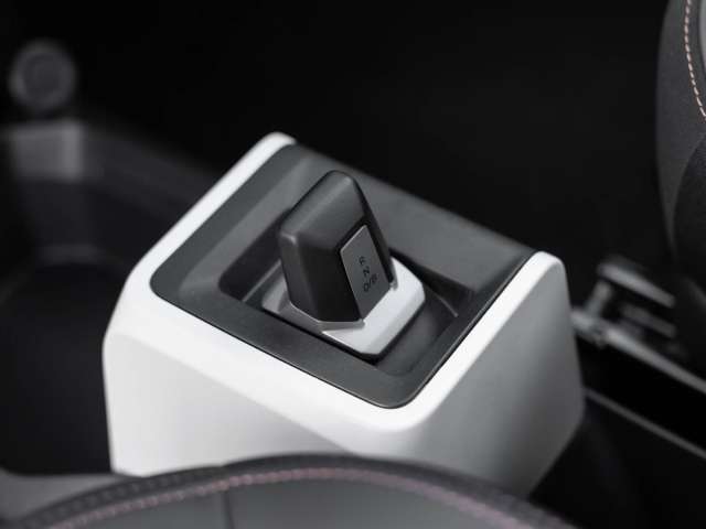 Fahrzeugbild eines Dacia Spring