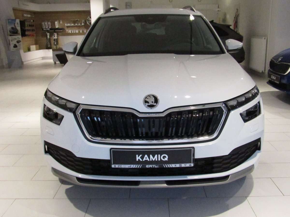 Fahrzeugbild eines Skoda Kamiq
