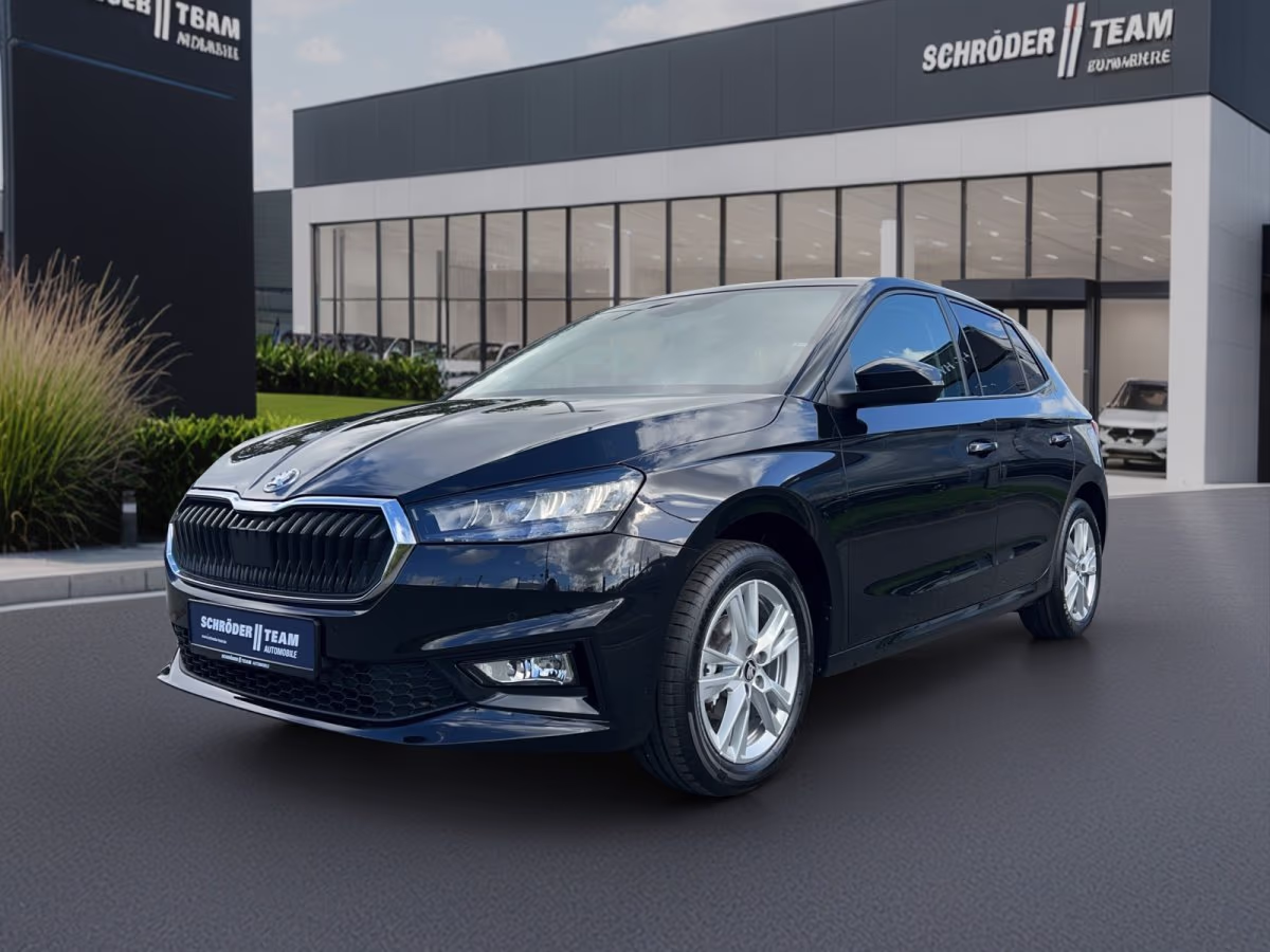 Fahrzeugbild eines Skoda Fabia