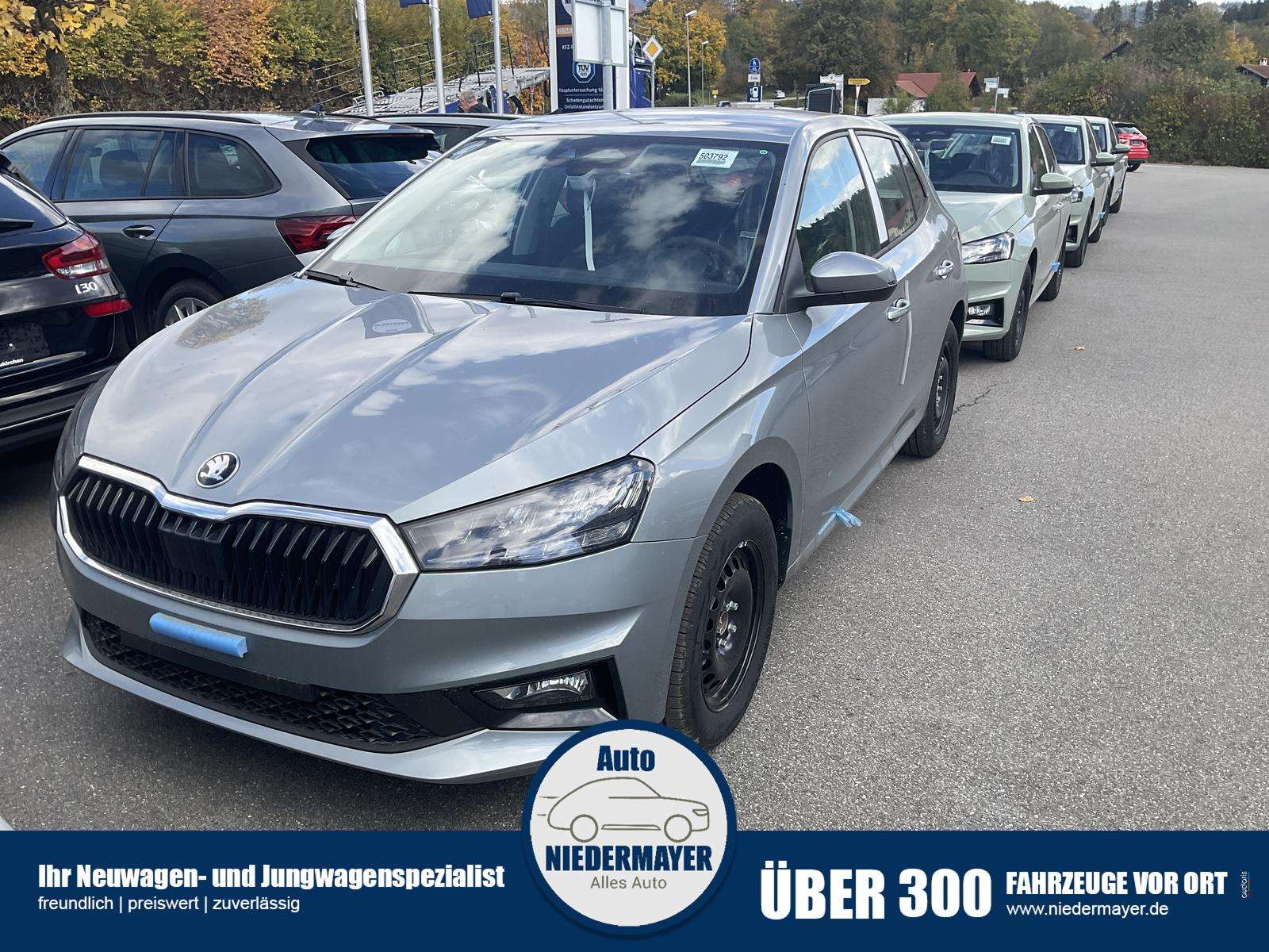 Fahrzeugbild eines Skoda Fabia