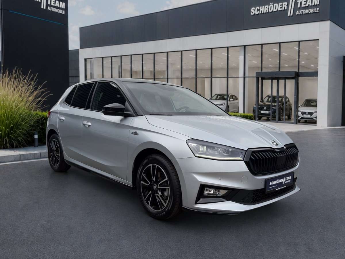 Fahrzeugbild eines Skoda Fabia