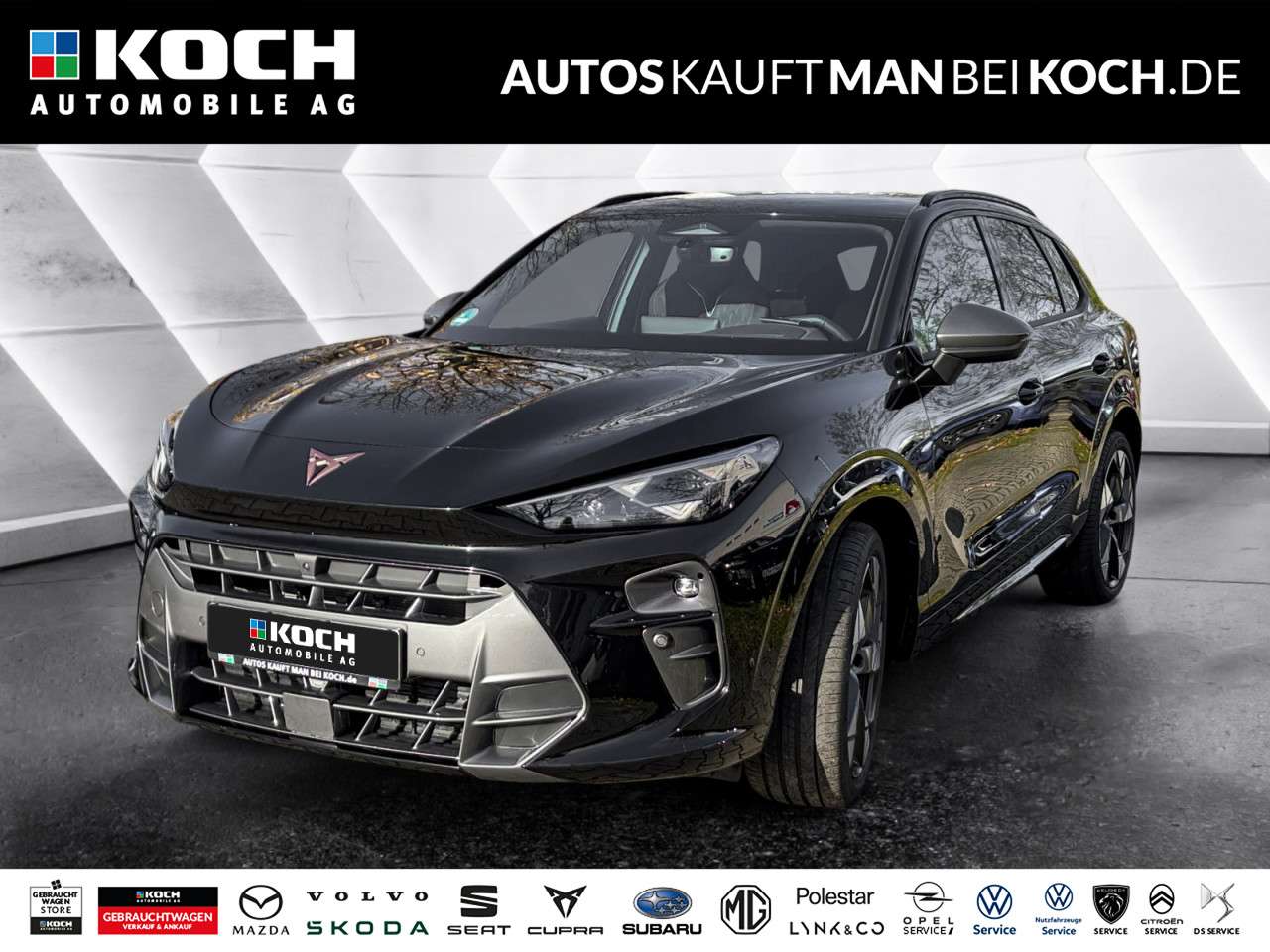 Fahrzeugbild eines CUPRA Terramar