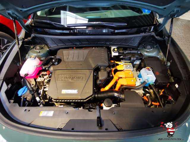 Fahrzeugbild eines Kia Niro