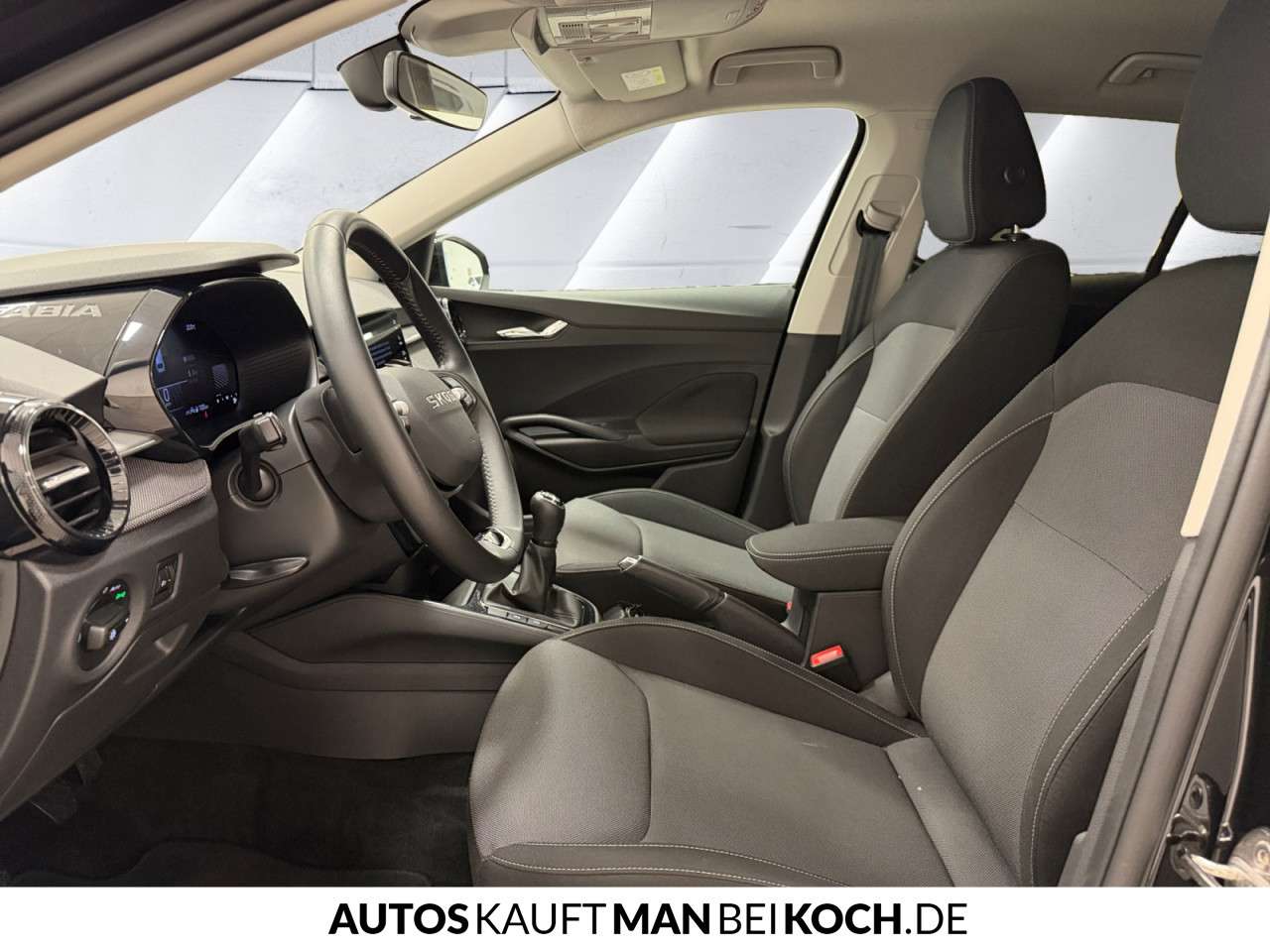 Fahrzeugbild eines Skoda Fabia