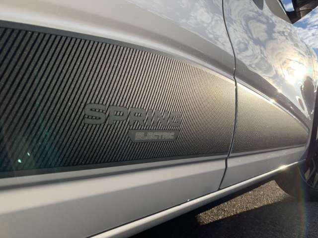 Fahrzeugbild eines Dacia Spring