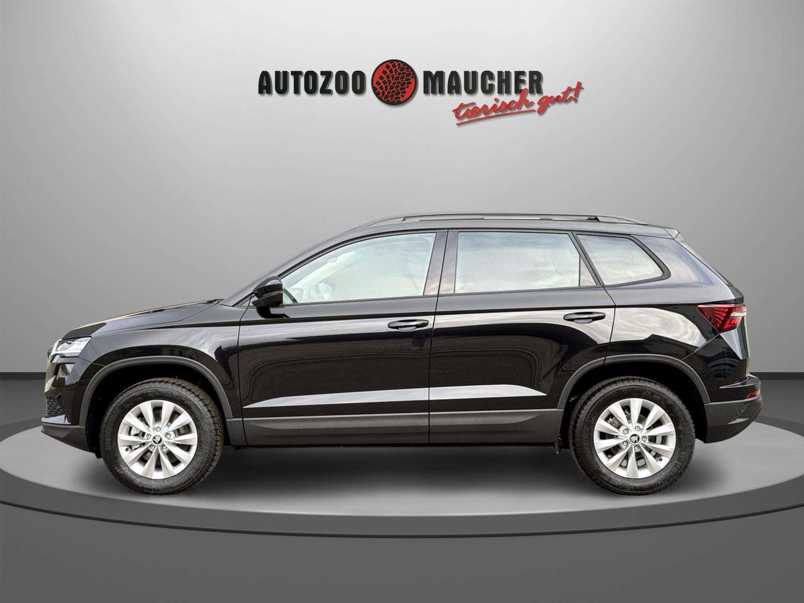 Fahrzeugbild eines Skoda Karoq