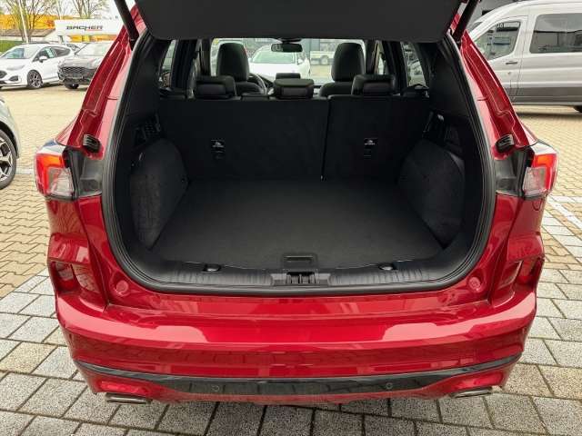 Fahrzeugbild eines Ford Kuga