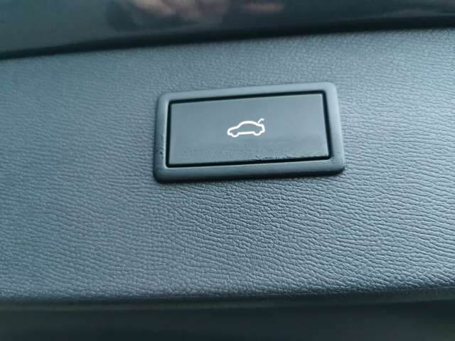 Fahrzeugbild eines CUPRA Formentor