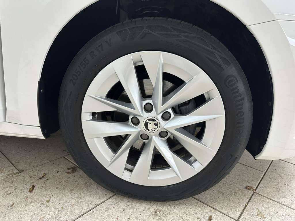 Fahrzeugbild eines Skoda Octavia