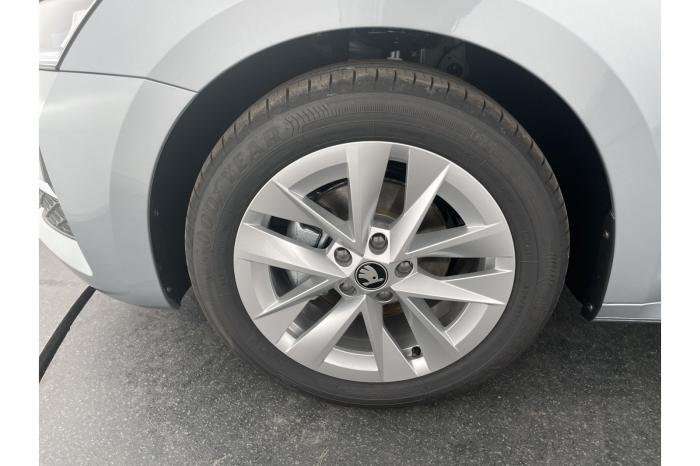 Fahrzeugbild eines Skoda Octavia