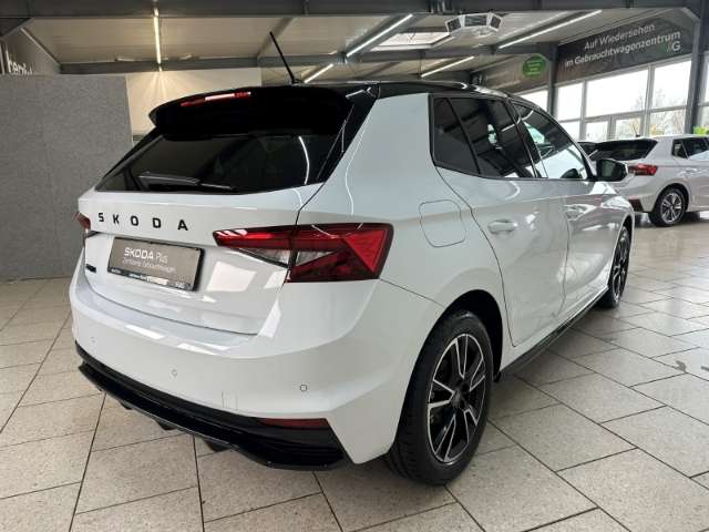 Fahrzeugbild eines Skoda Fabia