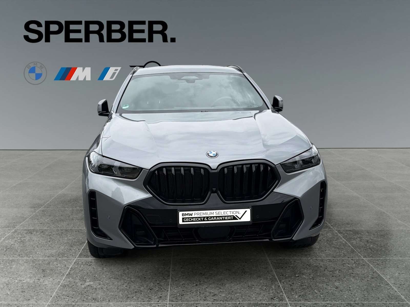 Fahrzeugbild eines BMW X6