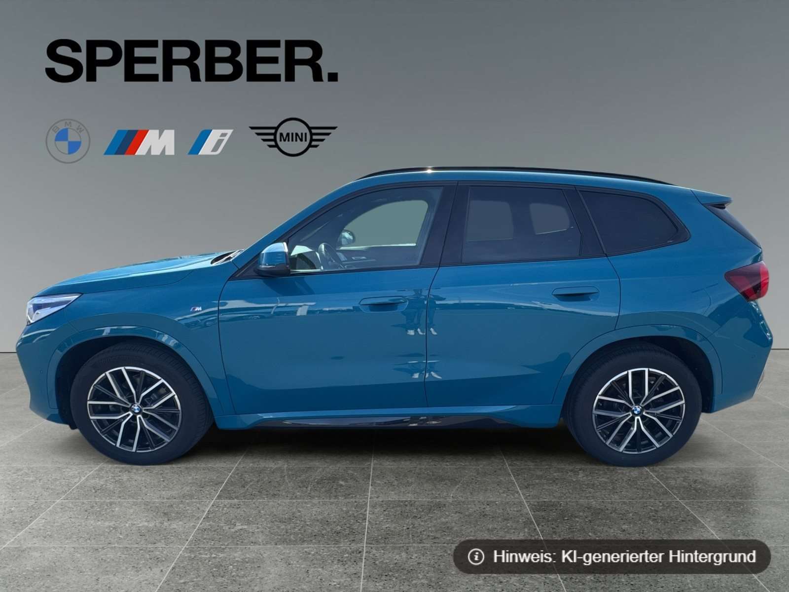 Fahrzeugbild eines BMW X1