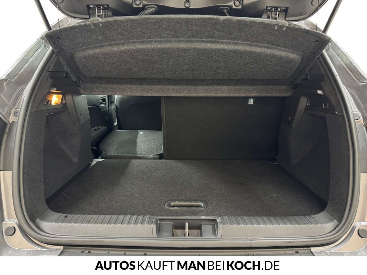 Fahrzeugbild eines Renault Captur
